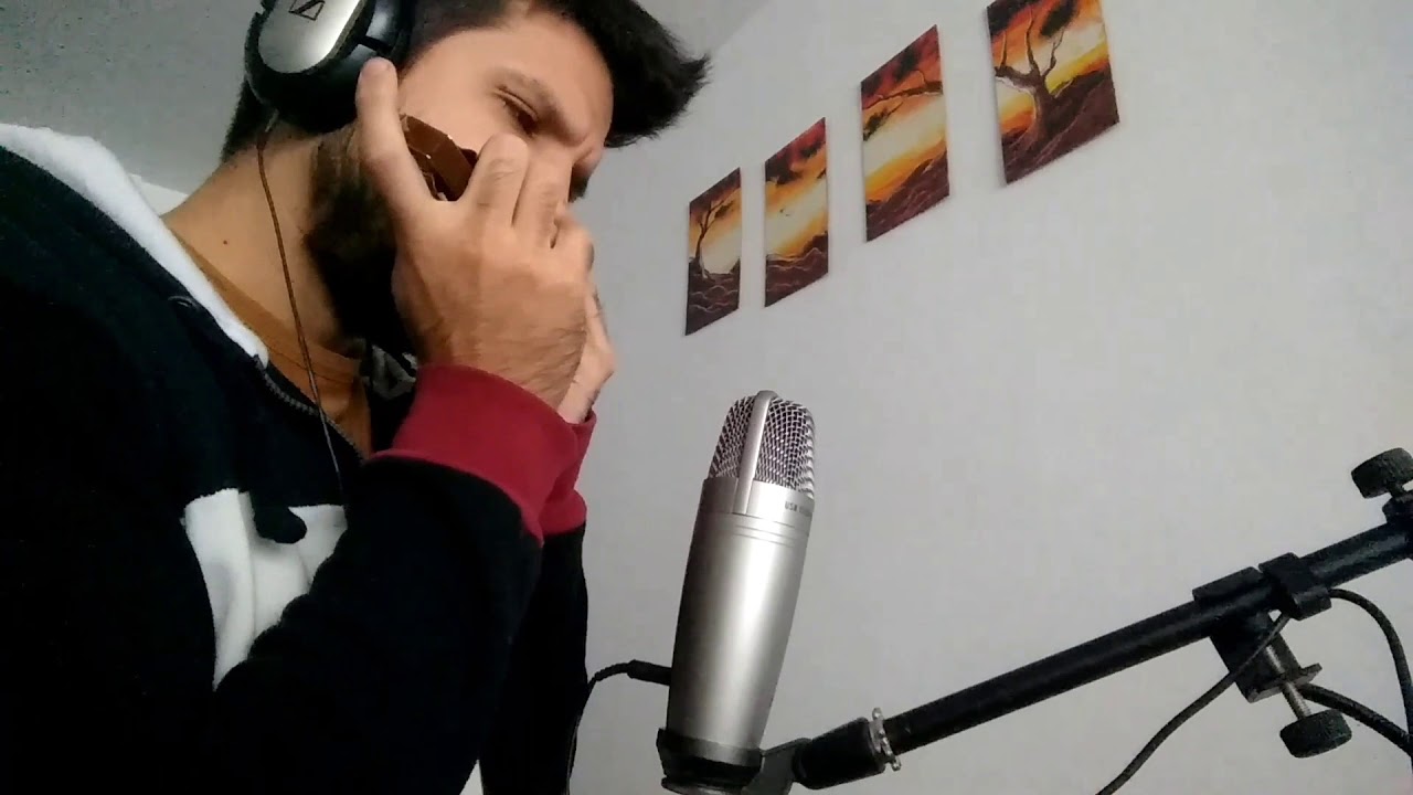 I Will Always Love You - Whitney Houston (ARMONICA)