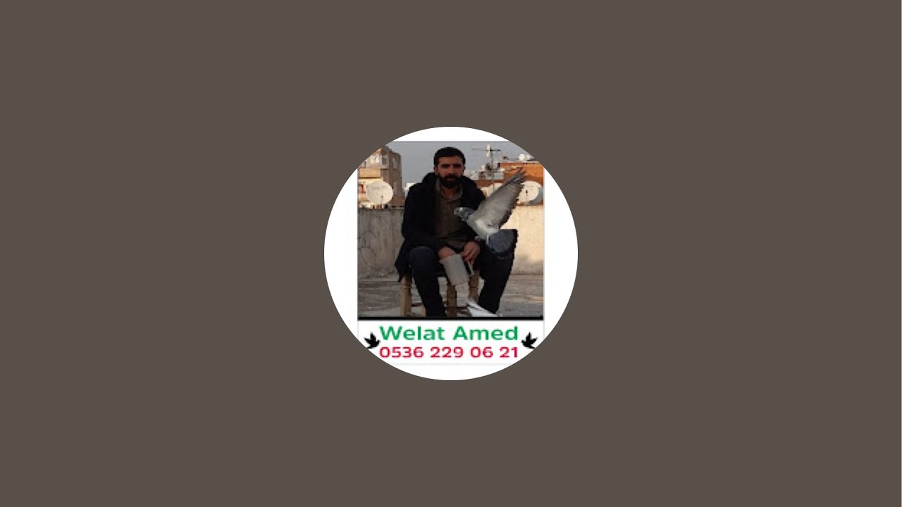 Welat Amed kanalı canlı yayında