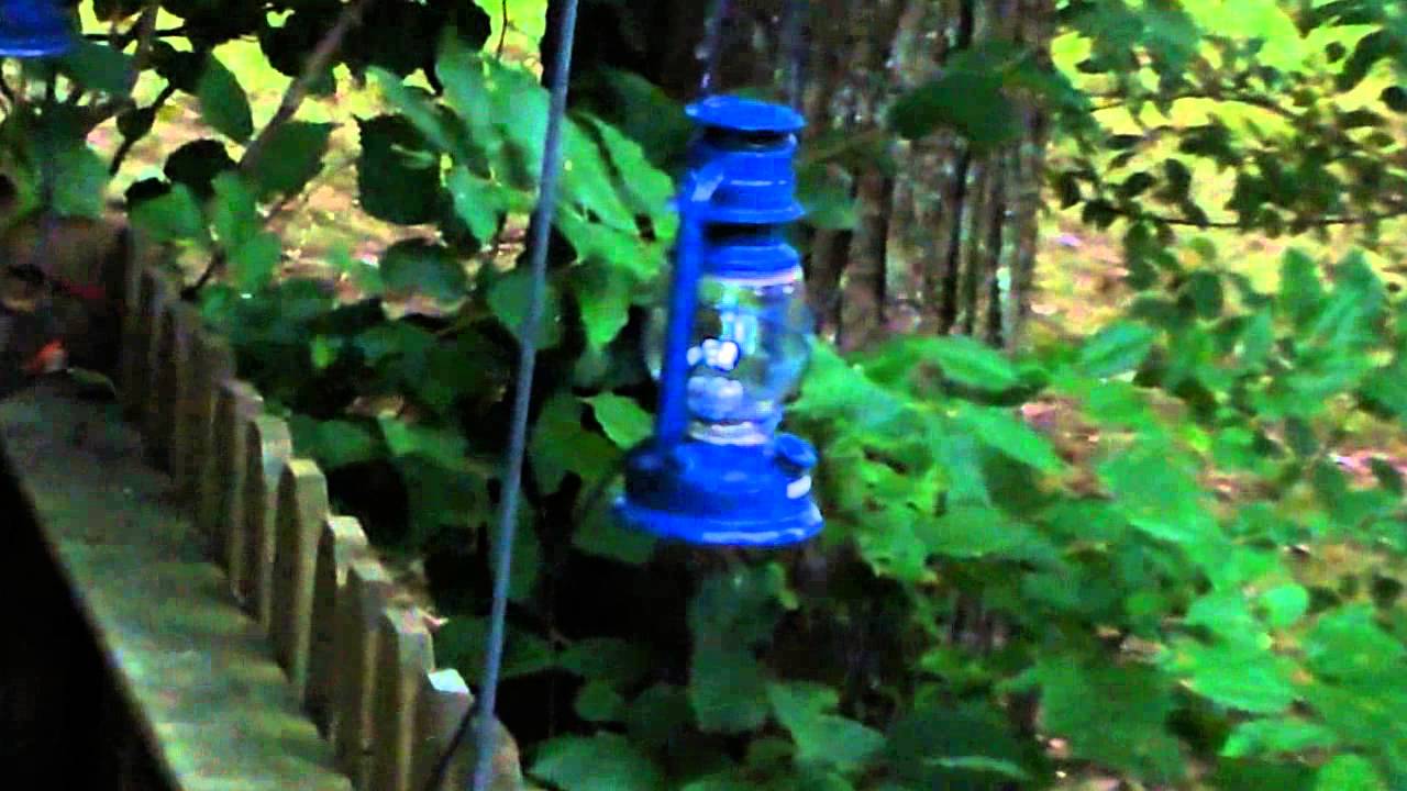 Solar Powered LED Retrofited Oil Lanterns