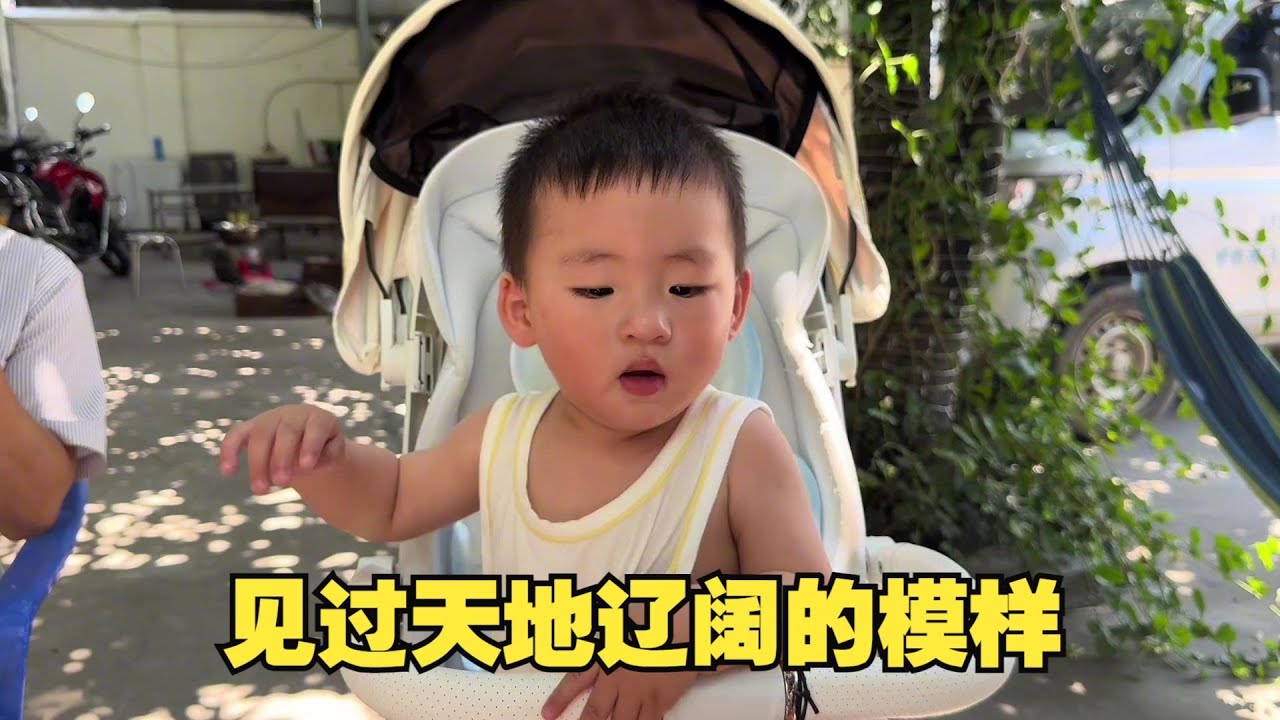 曾逐风掠过云海，见过天地辽阔的模样，又怎会甘心敛翅栖于檐下，把日子过成麻雀的寻常