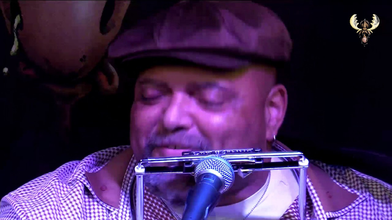 Kevin Burt - Day Day - Live for bluesmoose radio
