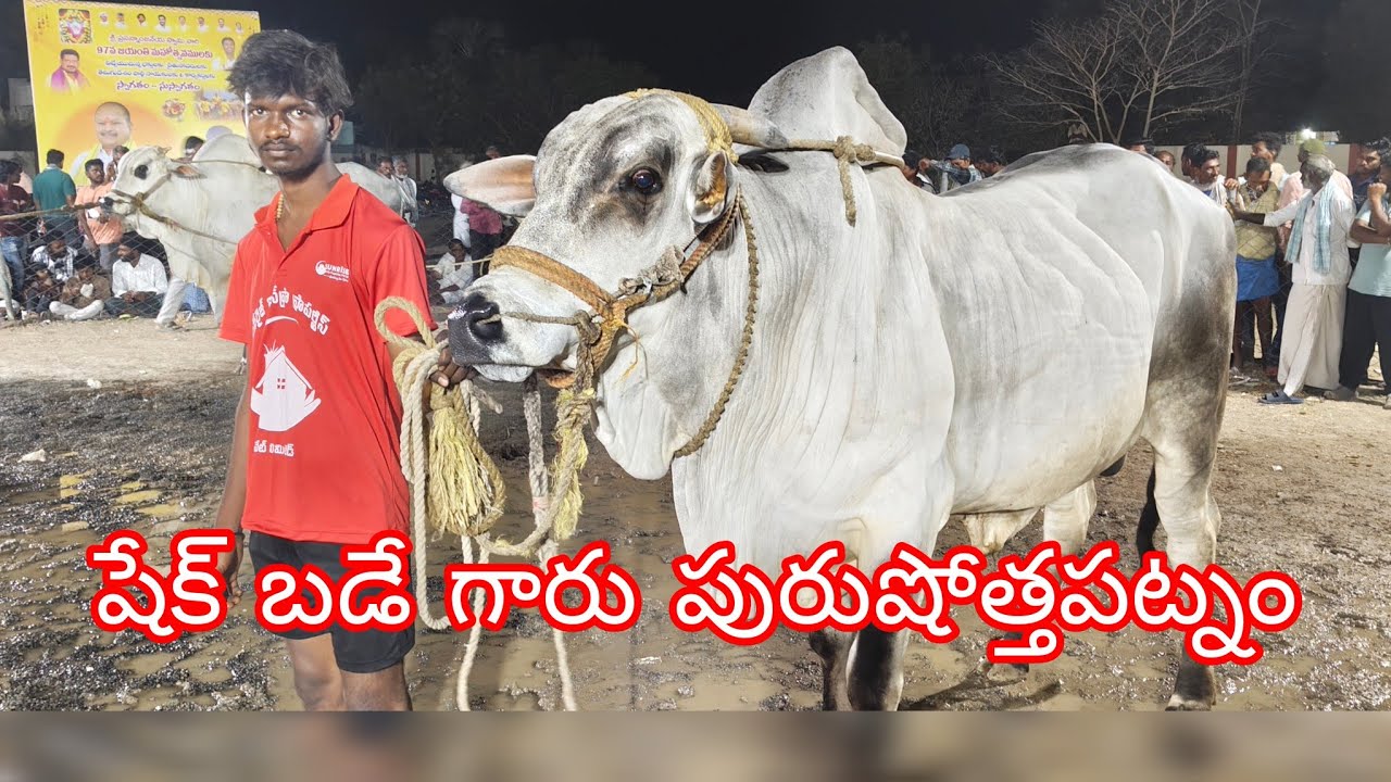 ఆకుల గణపవరం సబ్ జూనియర్స్ 7 వ జత షేక్ బడే గారు పురుషోత్తపట్నం పల్నాడు జిల్లా