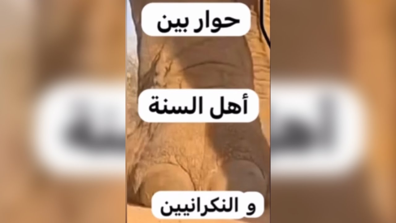 بث نقاش أغبى من كذا ماشفت 😵‍💫 مع #الشيخ ابو خالد #تيك_توك #ترند - النكارى