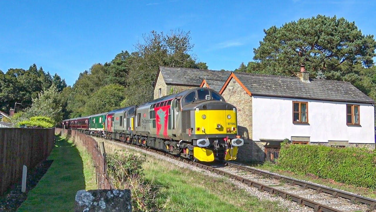 Dean Forest Railway - Annual Diesel Gala Featuring ROG 37s - 14/09/24