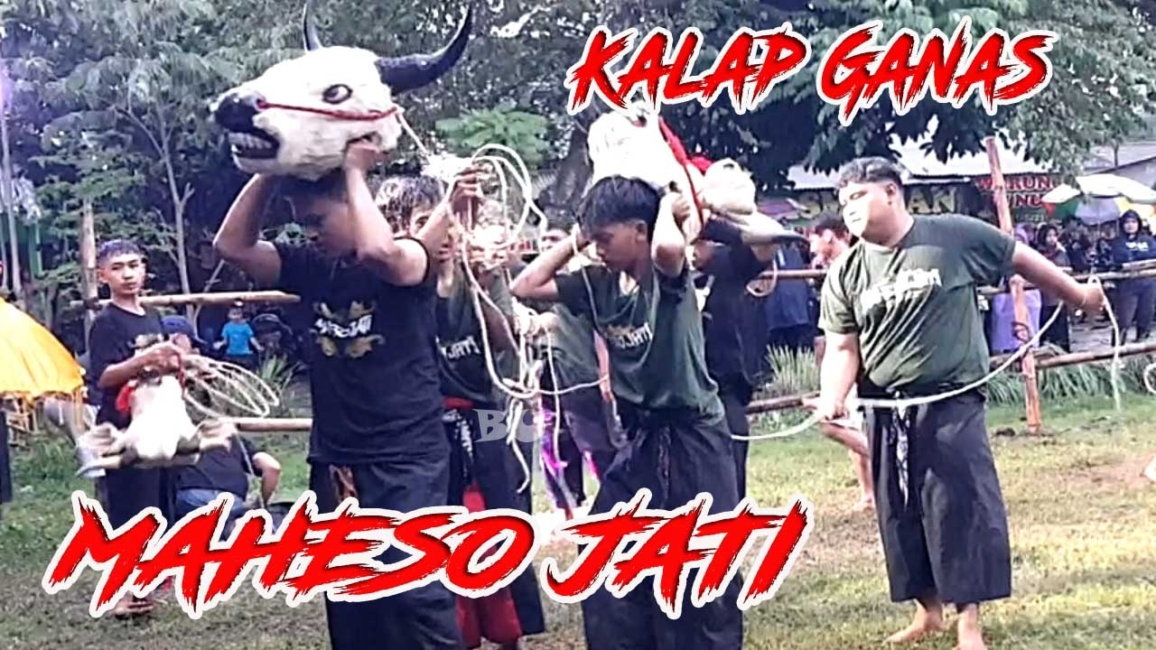 DRAMATIS! AKSI BANTENGAN MAHESO JATI DIGUYUR HUJAN, LANGSUNG KALAP DIRASUKI DEMIT