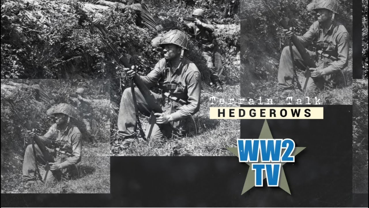 Hedgerows - the Normandy Bocage