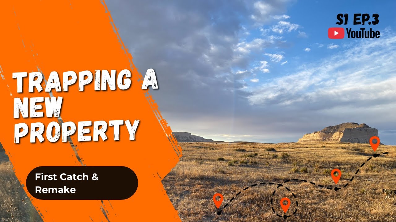 Picking locations and setting up a new trap line. (Part 1)