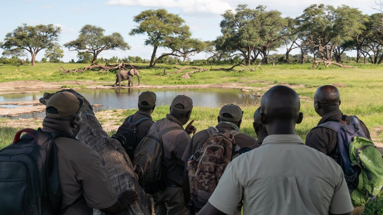 Guides Training 2023 - African Bush Camps