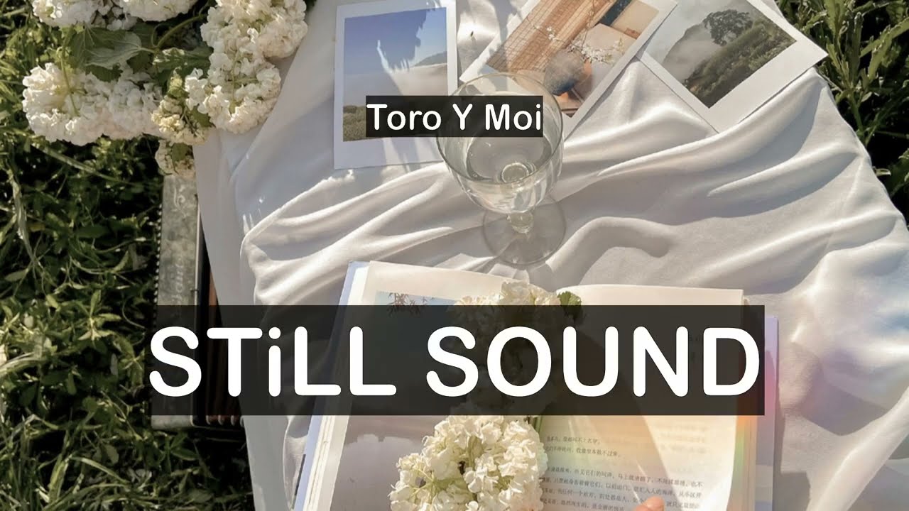 Toro y Moi - Still Sound (Lyrics) [Half Blunt Prince House Flip]