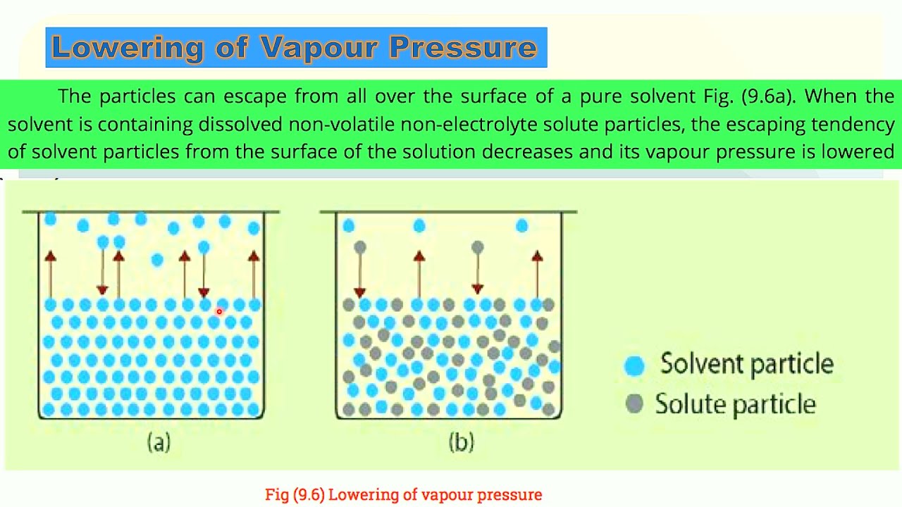 Lowering of Vapour Pressure (Urdu/Hindi/English)