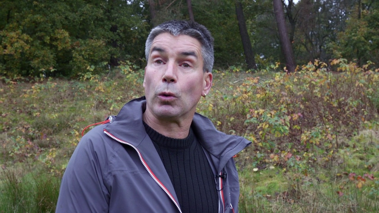 Ecologische verbindingszone Boomkikker