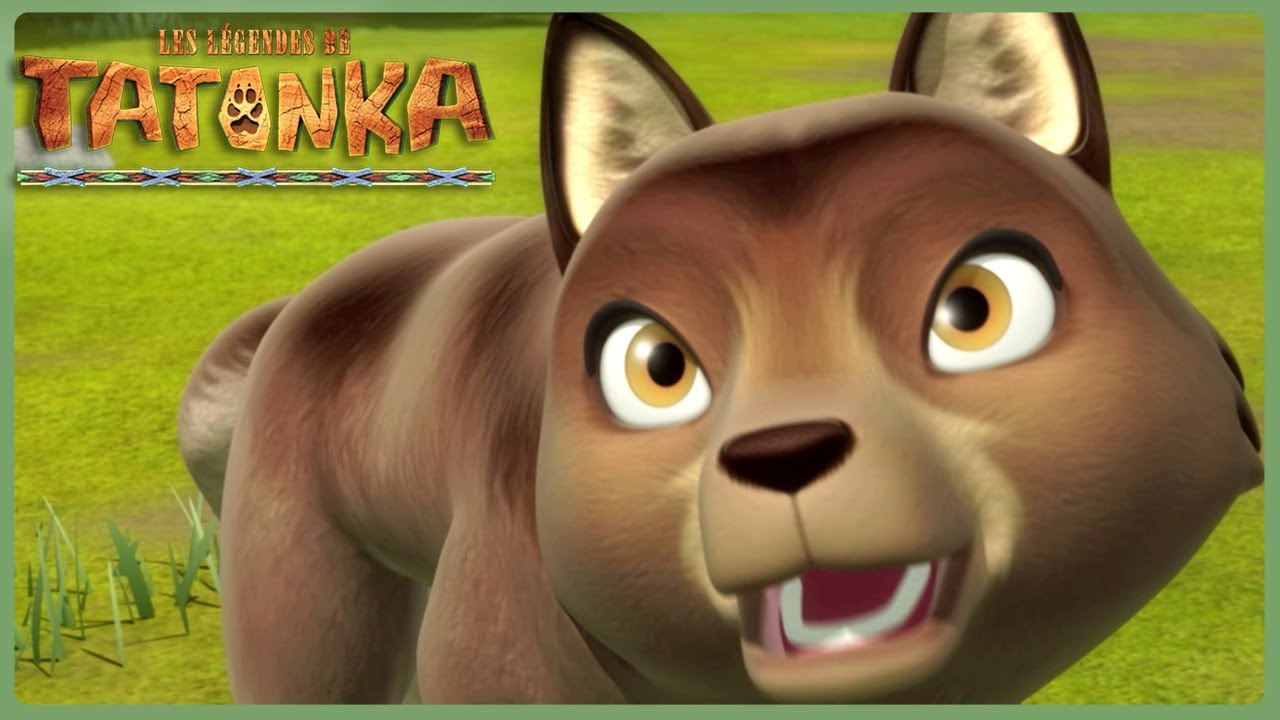 L’Esprit de la Saison 🦬💫 Compilation 1H | Tatonka