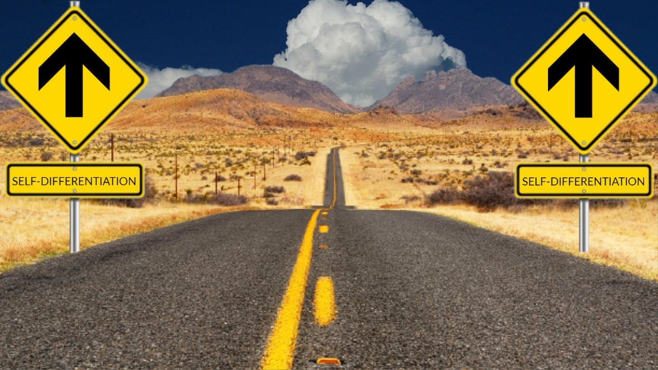 Journey of Self Differentiation   Jerry Wise/Colt Gordon
