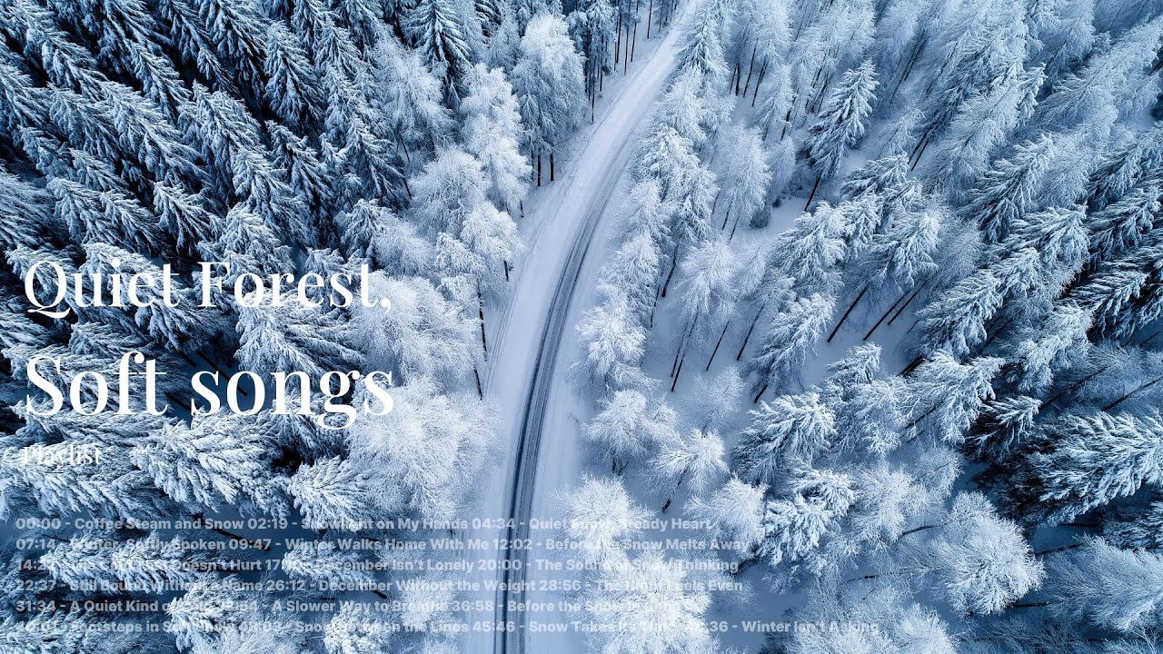 /playlist/🤍⏳☕🌿Perfekt f&uuml;r eine ruhige Nacht: Soft Pop aus den 90ern 🌿☕🕊️🫶