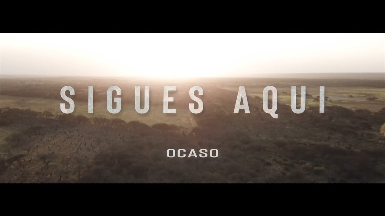 SIGUES AQUI - OCASO