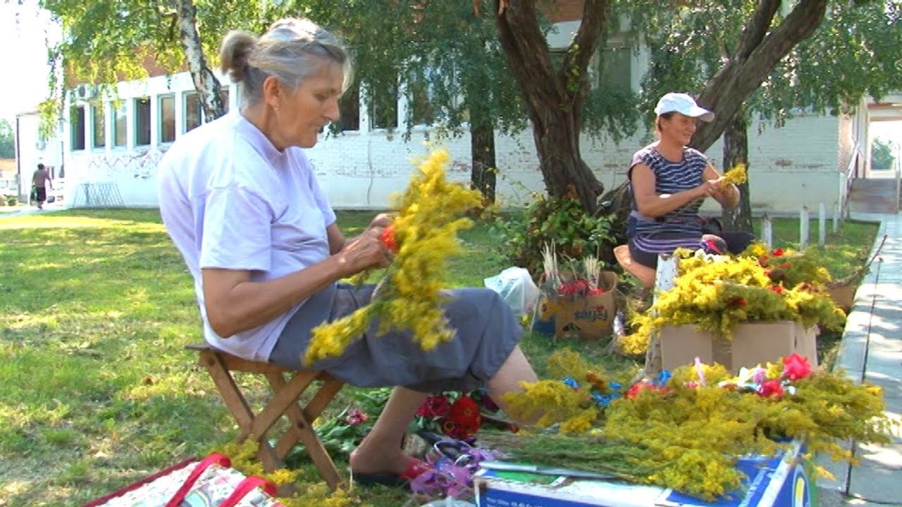 Ivanjski venčići