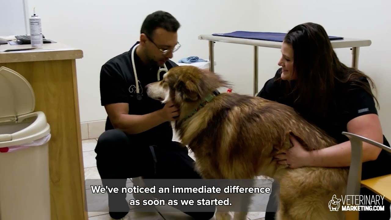Veterinary Marketing Testimonial - Dr. Malak of Lakeland Animal Clinic Urgent Care
