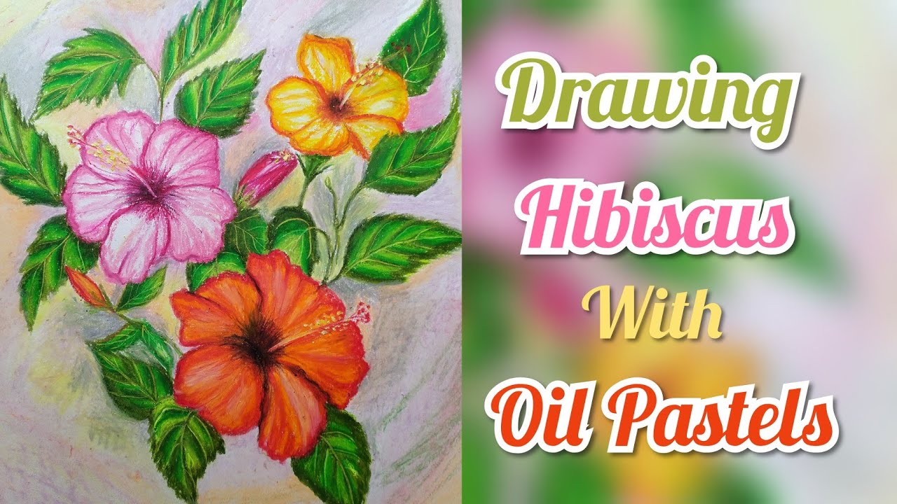 How to Draw Hibiscus flower using Oil Pastels