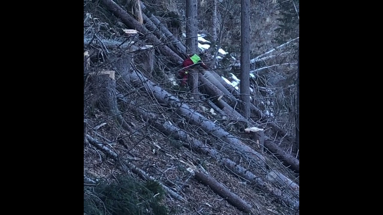 FORST / WOOD - Mounty 4000 🚛🌲