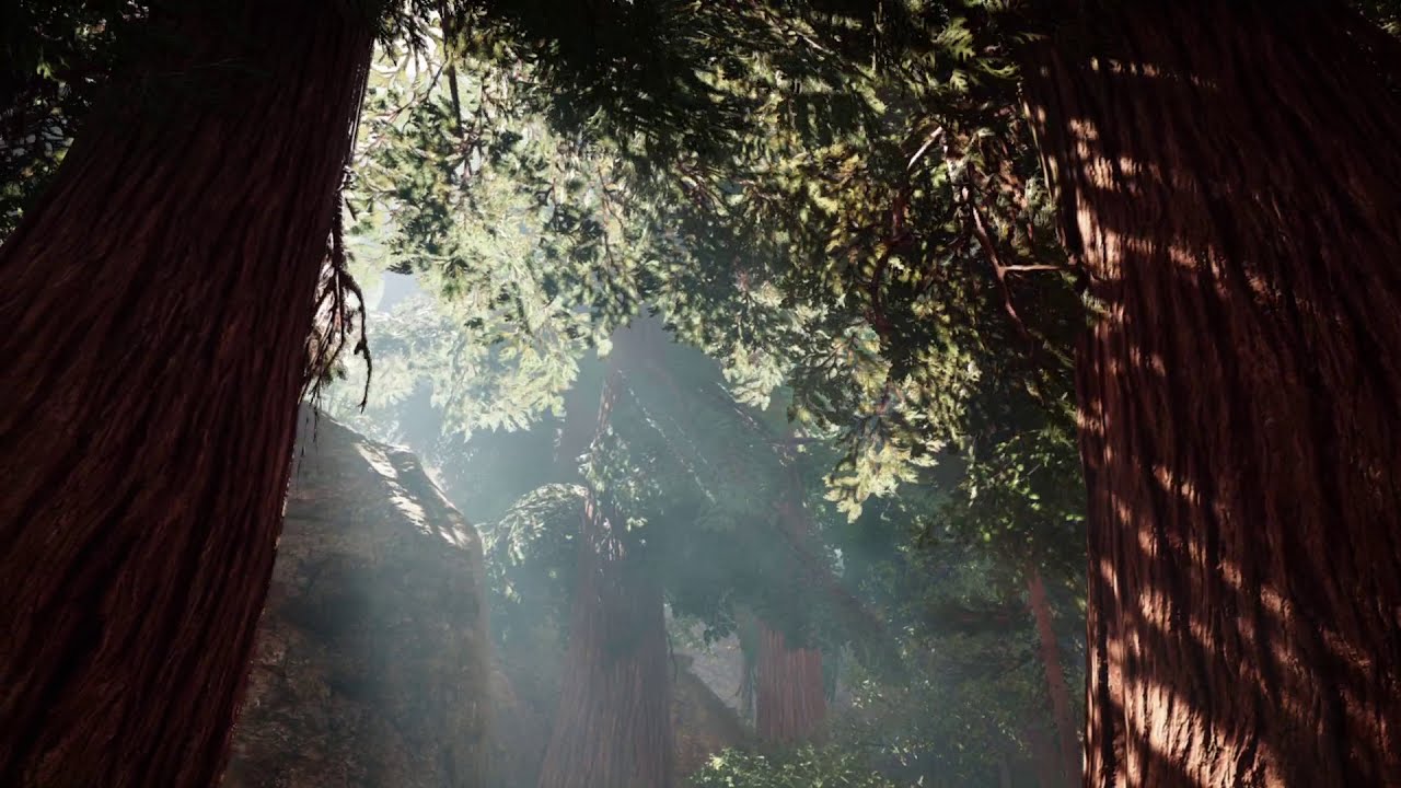 Far Cry Primal Ambience: A Walk in the Woods