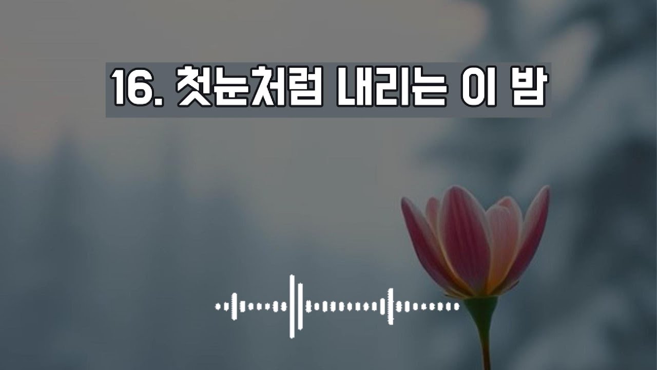16. 첫눈처럼 내리는 이 밤 #kpop #감성가요