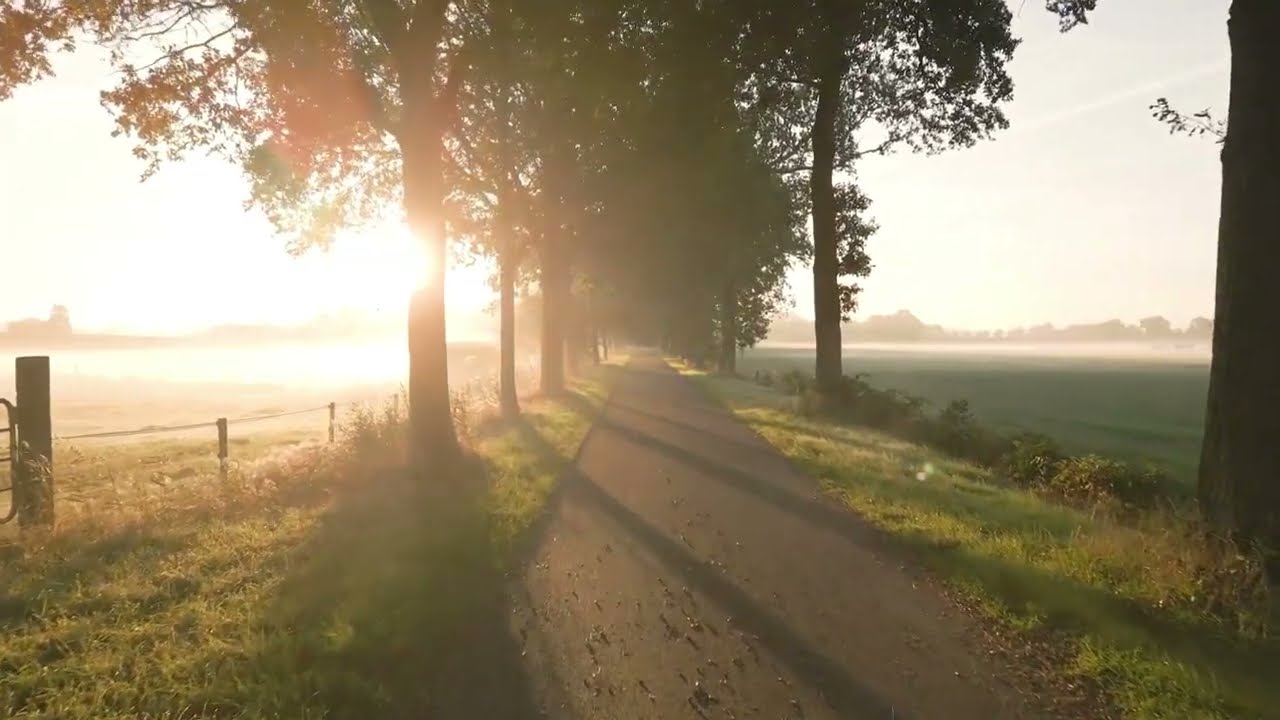 Everything Under the Sun - Gift Wrapped - Week 2