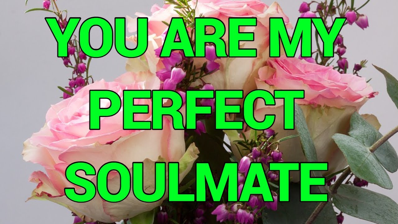I will love you not like anybody, but as nobody has ever loved you.You are my perfect soulmate.