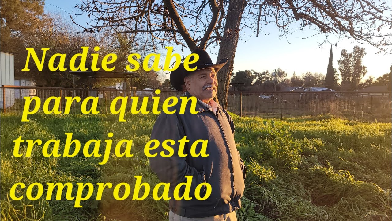 Nadie sabe para quien trabaja esta comprobado