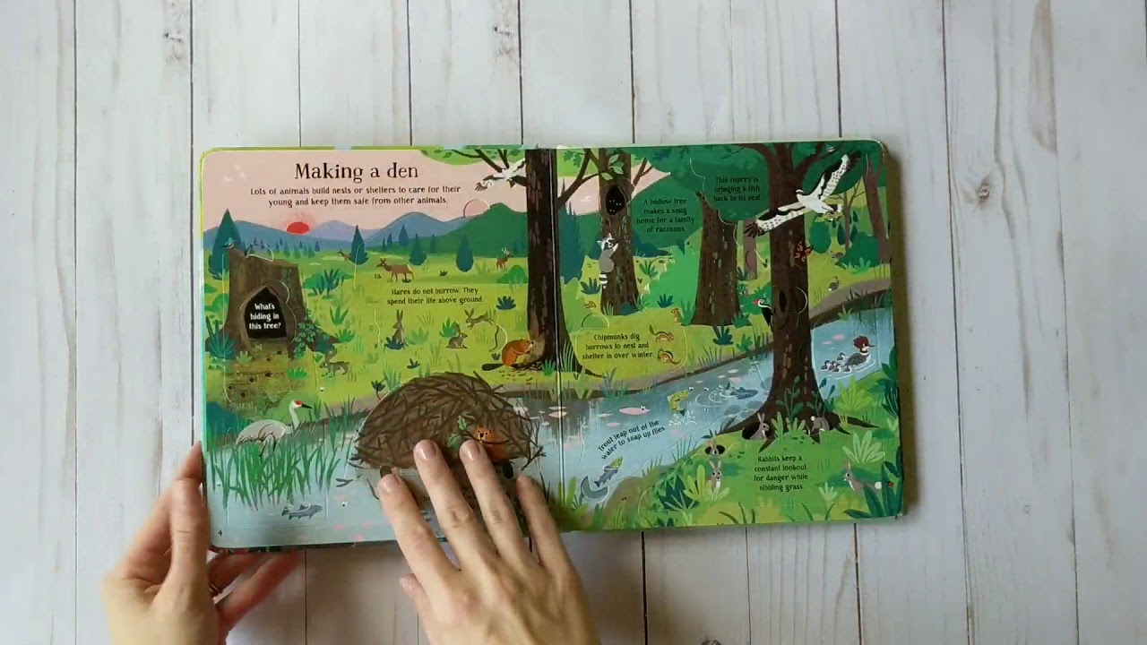 Usborne Books & More Fall 2018 New Titles: Nature Books