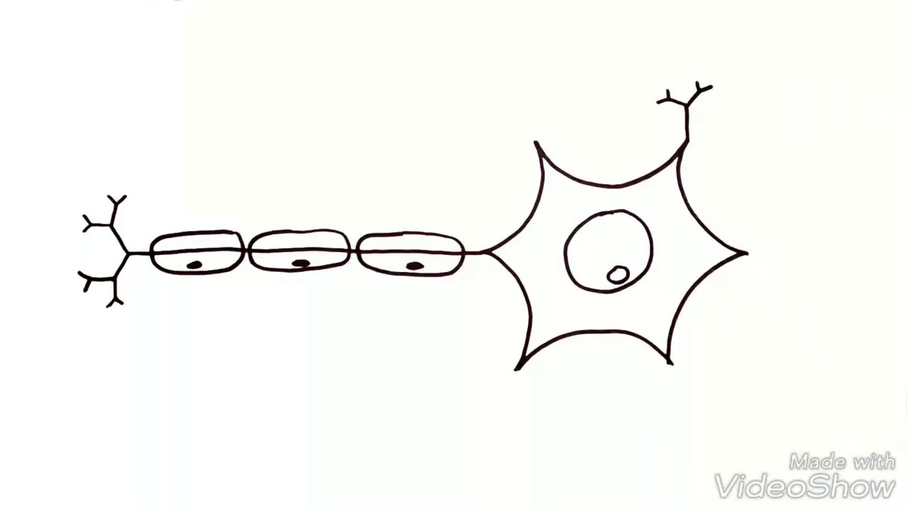 SINAPSE QU&Iacute;MICA
