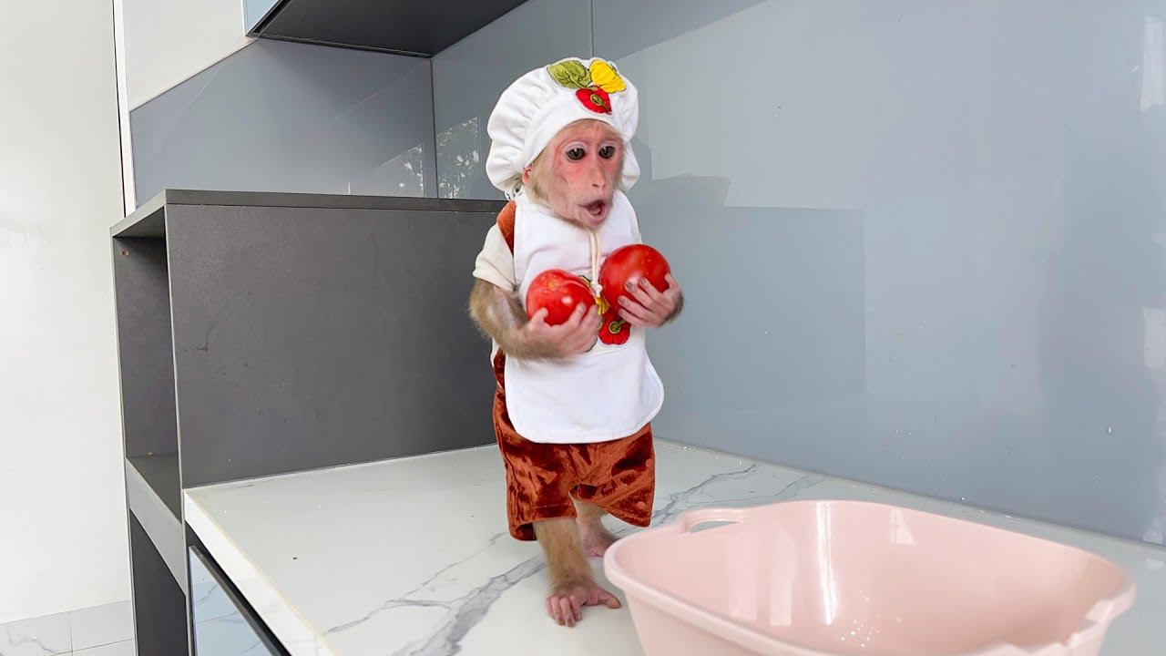 Super chef Cubis monkey prepares dinner for Dad!