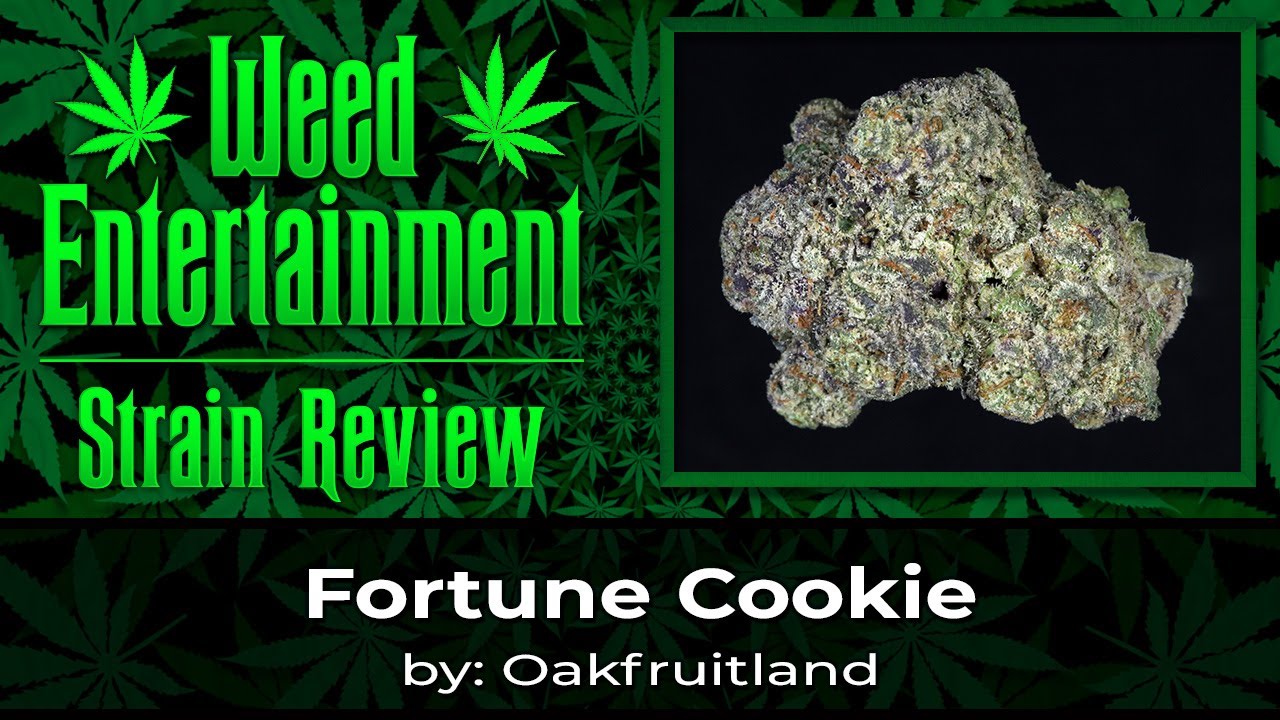 Fortune Cookie - by Oakfruitland - Sept 2023