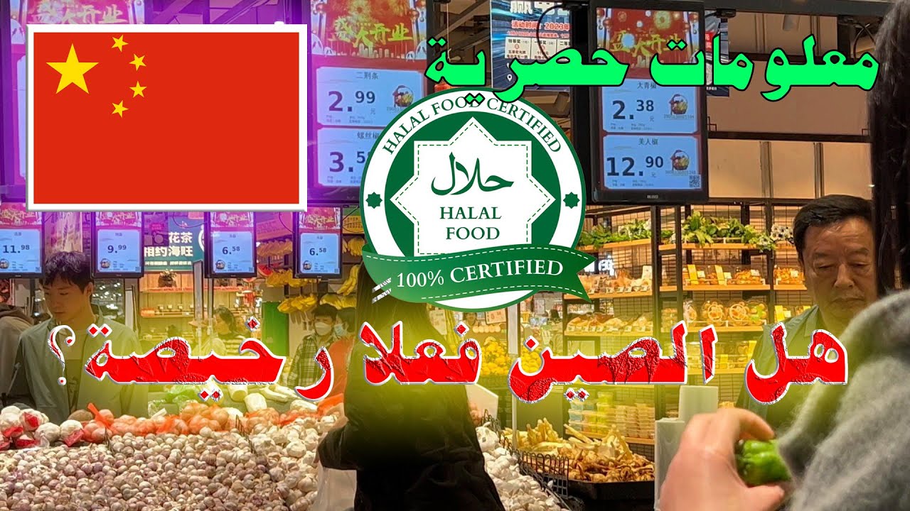 تكلفة المعيشة في الصين |أسعار المواد الغذائية | كل ما تحتاج معرفته - هل الصين رخيصة؟ الجزء الثاني