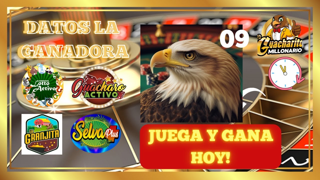 Tus Datos Gratis para hoy S&aacute;bado 07/02/2026 Lotto activo Granjita  Selva  Gu&aacute;charo   LA GANADORA