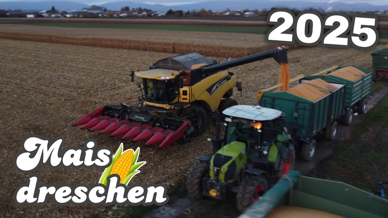 K&ouml;rnermais dreschen 2025 🌽🚜 | Landwirtschaft Niederbayern 