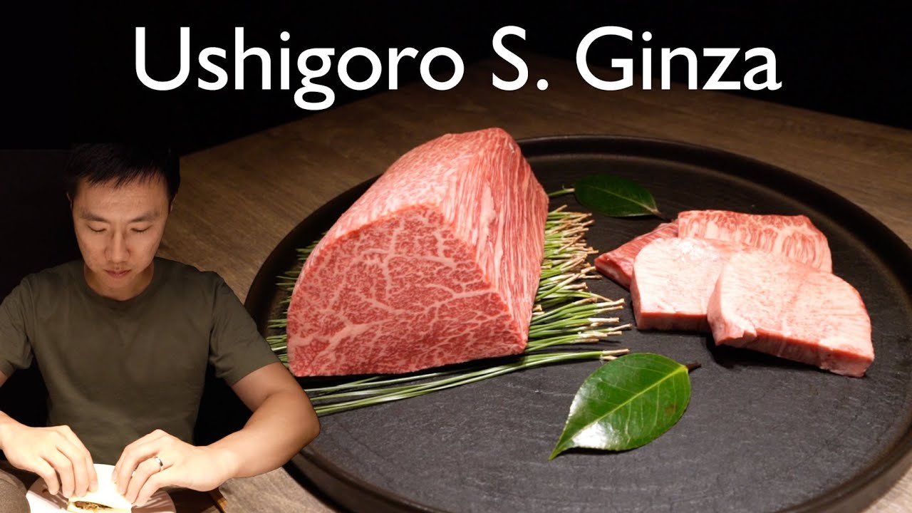 I Tried a Michelin-Star Wagyu BBQ Experience in Tokyo - Ushigoro S. Ginza, Yakiniku