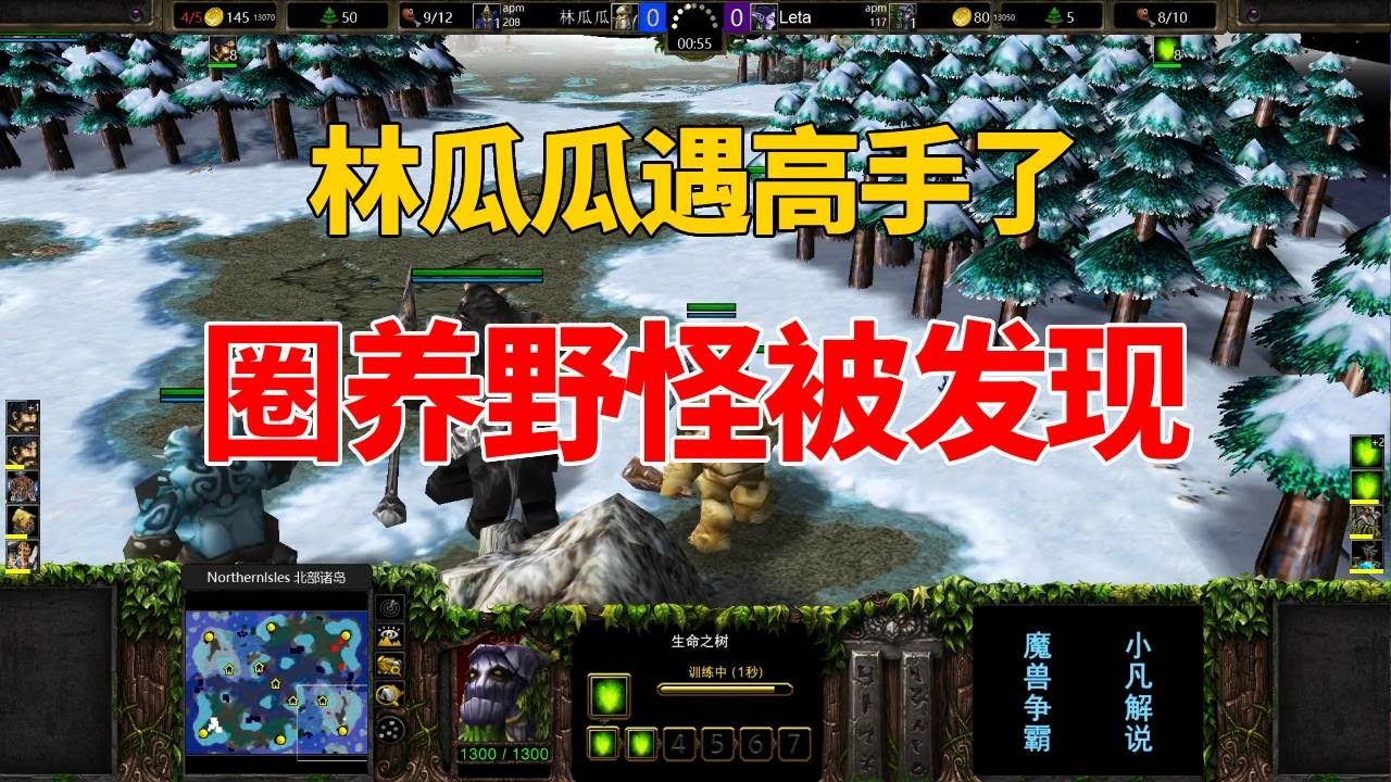 林瓜瓜遇高手了，圈养野怪被发现，拼到最后谁也不服谁！魔兽争霸