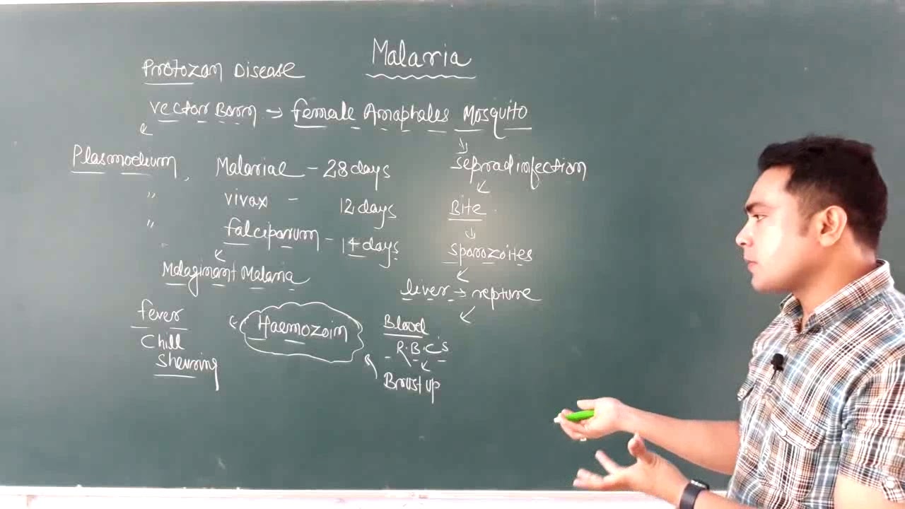Malaria