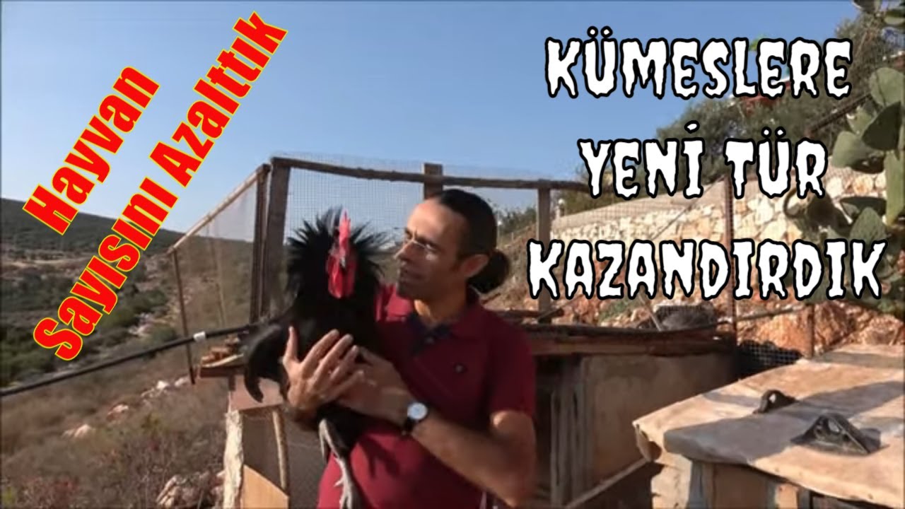 Kümeslerimizde Köklü Değişiklikler 3