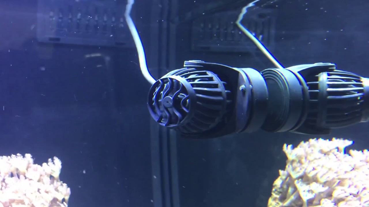 LiveAquaria® Diver’s Den® Aquatic Insider: Current EFlux Wave Pump Kit