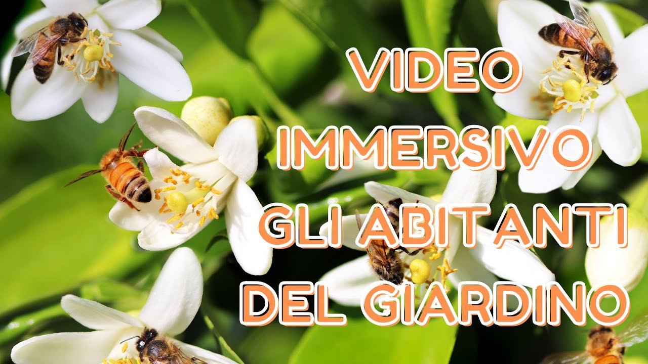 VIDEO IMMERSIVO Gli abitanti del giardino