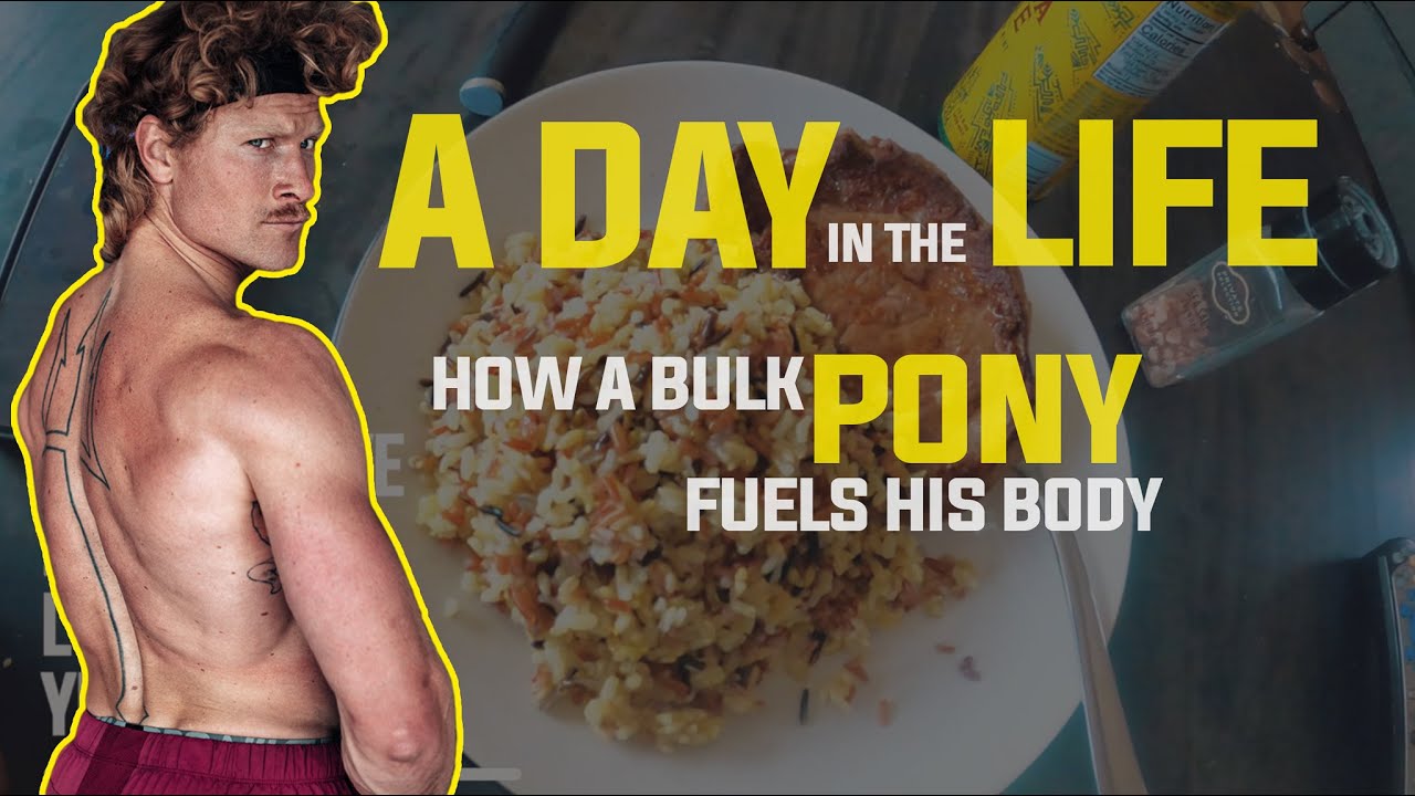 A Day In The Life - How A Bulk Pony Fuels His Body