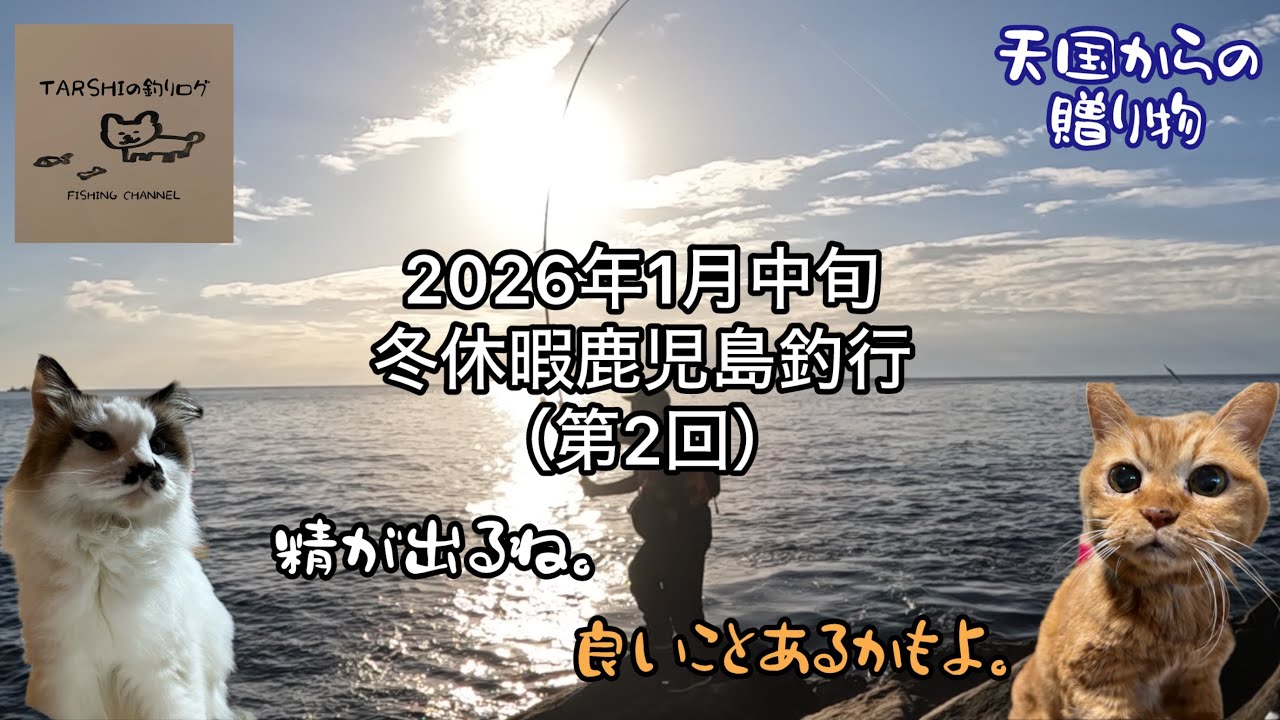 (GET!)2026年1月中旬冬休暇鹿児島釣行（第2回）　#朝マズメ #青物 #地磯 #鹿児島 #釣り #ショアジギ  #ハガツオ 