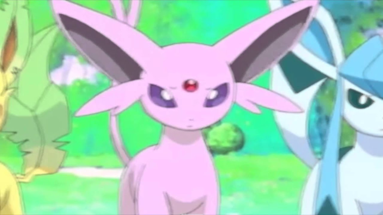 Eeveelution AMV - Centuries - Fall Out Boy