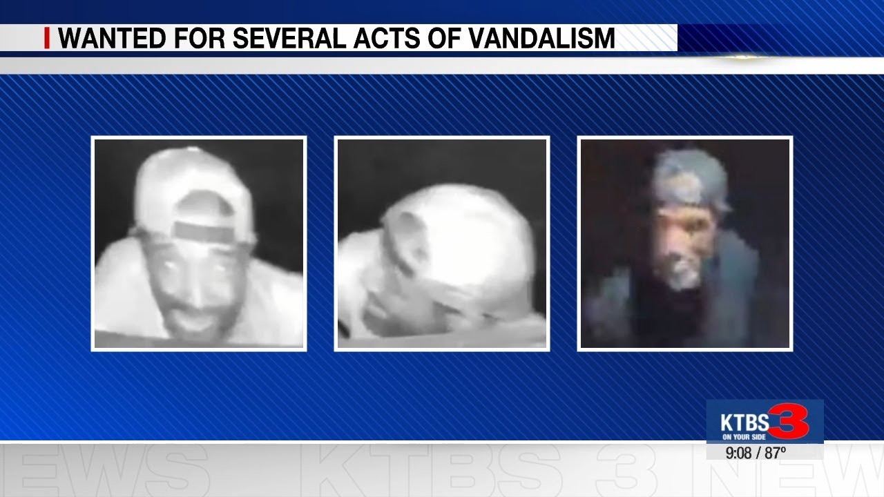 Vandalism Suspect