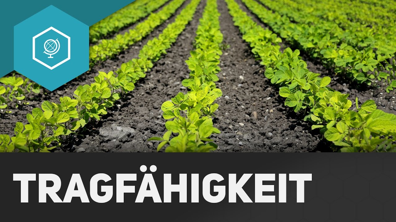 Wie viele Menschen kann die Welt ernähren?: Tragfähigkeit - Landwirtschaft in Industrieländern 1