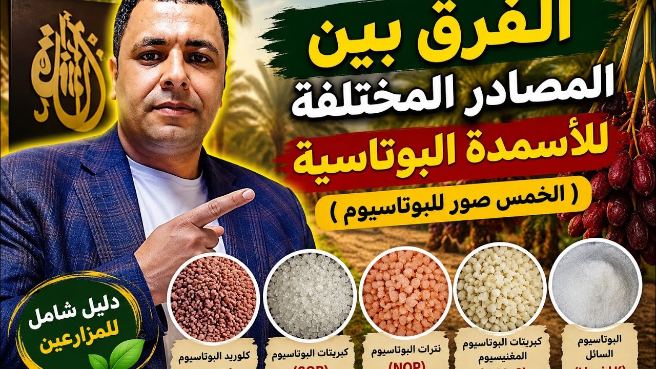 الفرق ما بين المصادر المختلفة للأسمدة البوتاسية ( الخمس صور للبوتاسيوم )