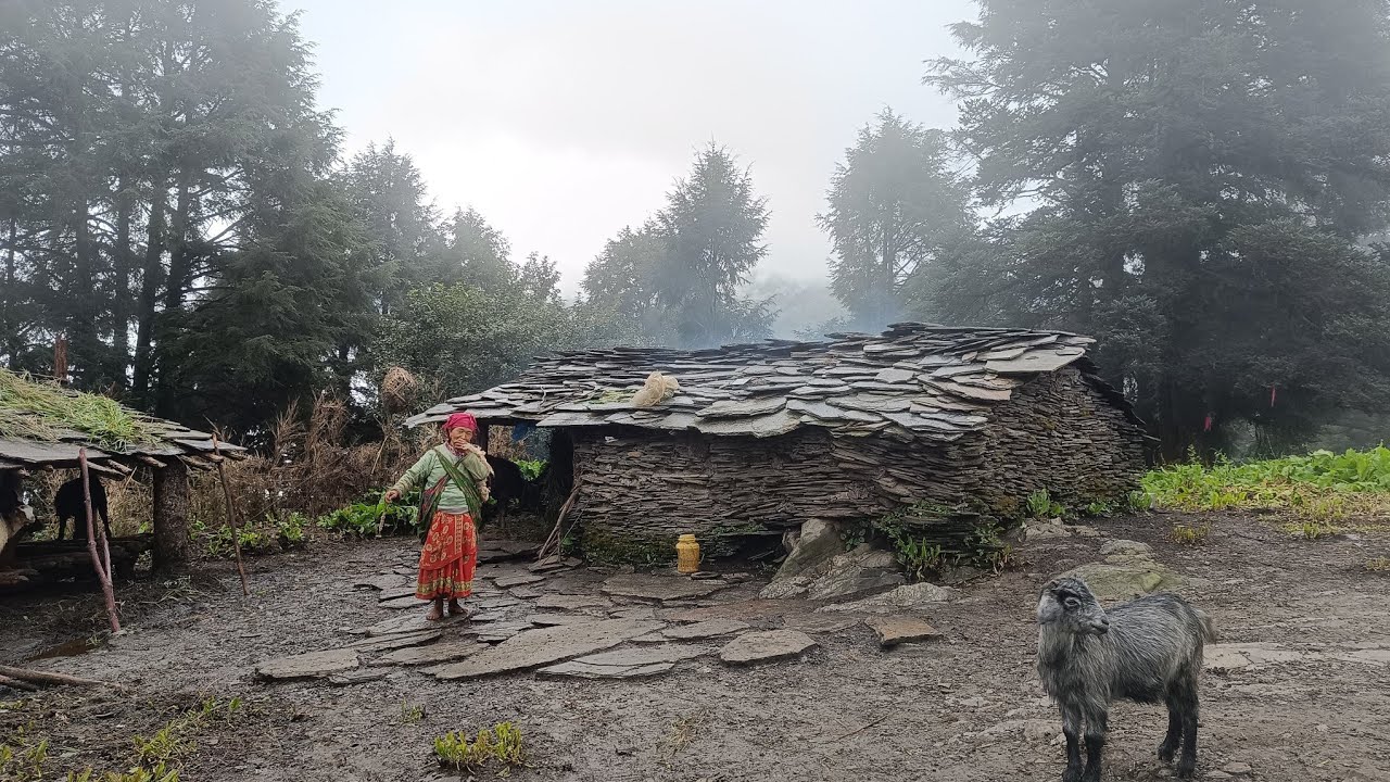 Best Life in A Himalayan Village During The Rainy || Activities In Nepal || Rainy Completion Video |