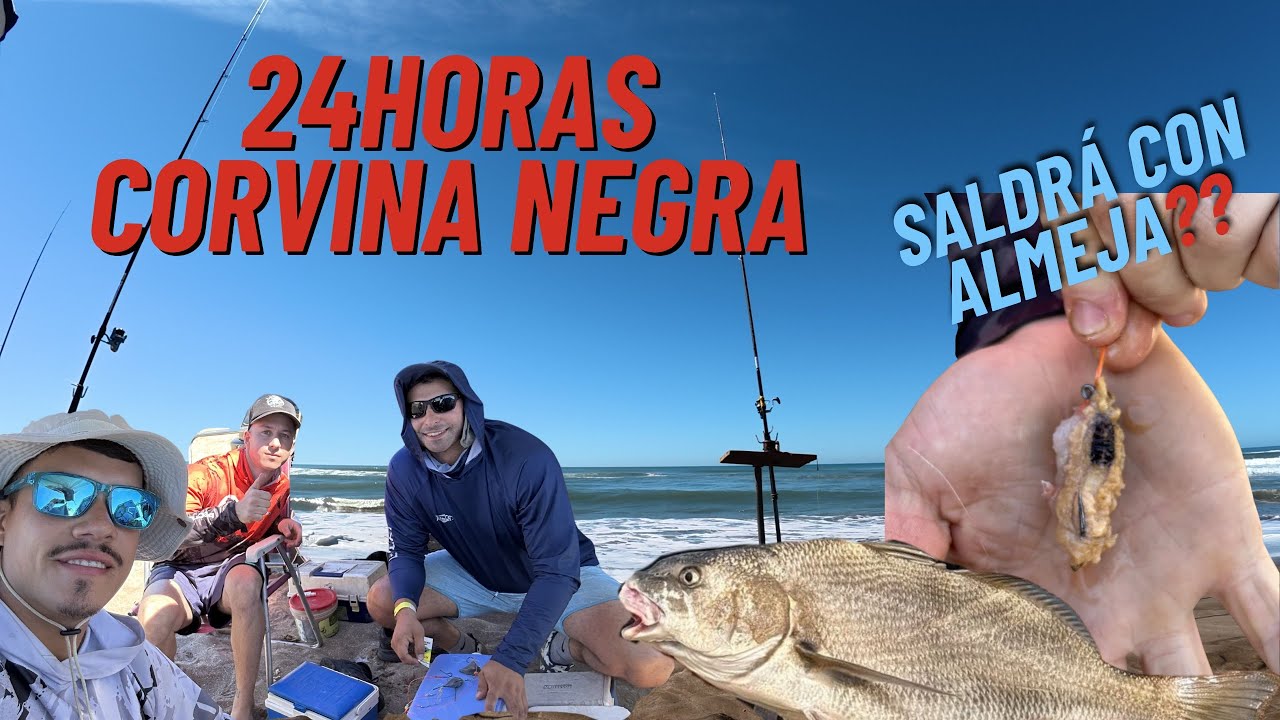 CONCURSO LAS 24 HORAS DE LA CORVINA NEGRA 