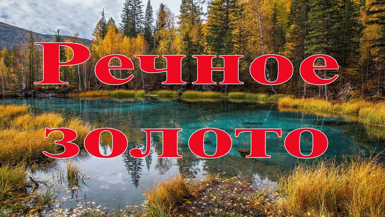 Речное золото! River gold!